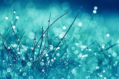 Wallpapers Water Drops Nature Grass Dew Macro Free Hd 1366x768 ...