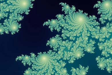 Fractal Mandelbrot Sets