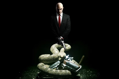Hitman Game 3D Poster Wallpapers   DreamLoveWallpapers