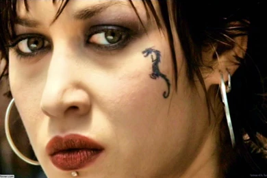 Olga Kurylenko Quot Hitman Wallpaper Hitman Movie Wallpaper Hd Fre ...