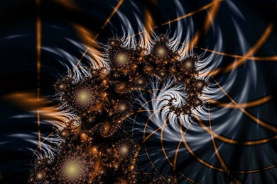 Download Wallpaper, Black Satin Mandelbrot