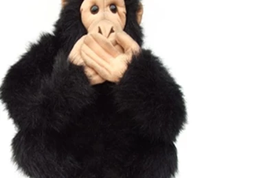 Monkey Chess Animal iPhone Wallpapers, iPhone 5(s)/4(s)/3G Wallpapers