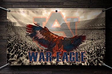 War Eagle Related Keywords & Suggestions   War Eagle Long Tail ...
