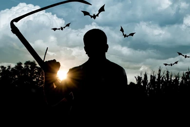 Free Halloween Live Wallpapers For Android