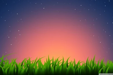 Download Grass Illustration Wallpapers 1920x1080