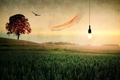 Download Landscapes Illustrations Wallpapers 1920x1080