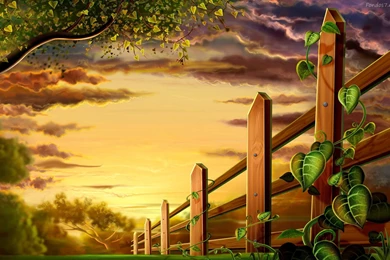 Top Source For Photos Illustrations Wallpapers