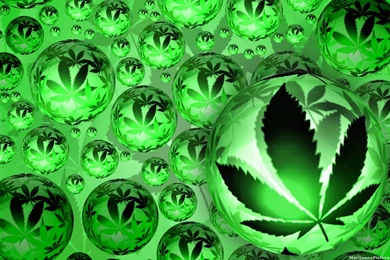 Cool Weed Wallpapers   Wallpapers Zone