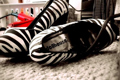 Zebra Print High Heels In Shoes Wallpapers Free Desktop Backgrounds ...