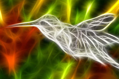 Cool Animal Wallpapers Light