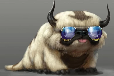 Cool Pictures Of Animals Wallpapers