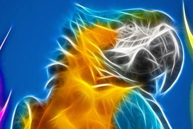 Cool Animal Wallpapers Light