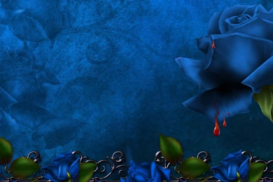 Beautiful Purple Rose Pearl Wallpapers, Rose Flower Images, Rose ...