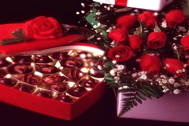 Love Roses Wallpapers 87, Rose Flower Images, Rose Pictures And ...