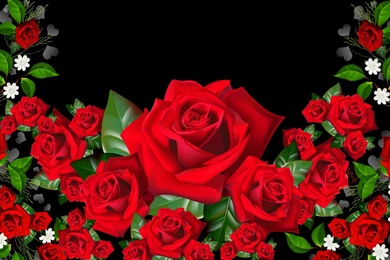 3D Rose Wallpapers 47, Rose Flower Images, Rose Pictures And ...