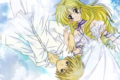 Pic New Posts: Wallpapers Wedding Couple