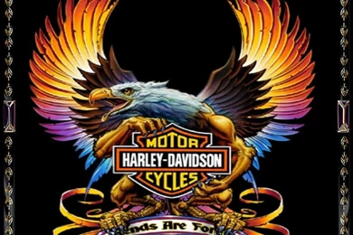 Harley Davidson On Pinterest