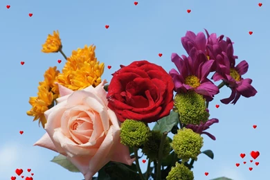 HD Flowers Wallpapers For Samsung Laptop