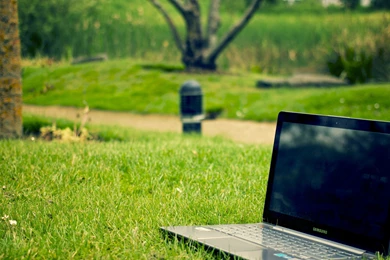 Samsung Notebook Computer Laptop Grass Green Nature Brands Cool ...