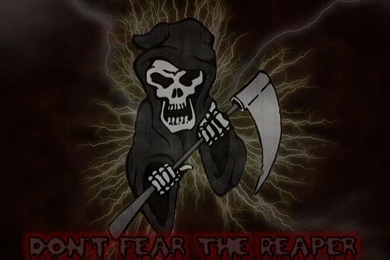 Dark Skulls Wallpapers 98 Dark Skull Wallpapers