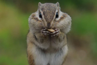 Download Free Modern Download Camera The Wallpapers 1920x1200px ...