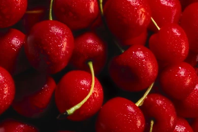 122 Cherry HD Wallpapers