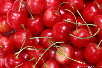 Cherry Backgrounds － Cate Wallpapers   Free Download Wallpapers ...