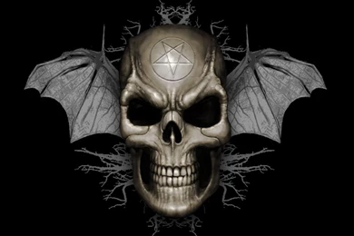 Cool Skull Wallpapers   All Wallpapers New
