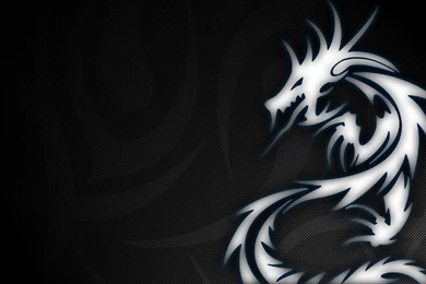 Cool Skull Wallpapers Best HD Desktop Wallpapers 1080p HD Wallpapers