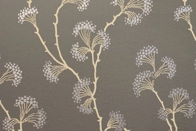 Colefax And Fowler Ashbury Wallpapers   Black 07982/06