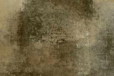 Slate Stucco Wallpapers By Wallquest