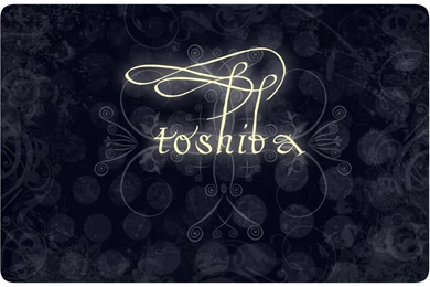 Toshiba Laptop Skin By BlackCat532 On DeviantArt