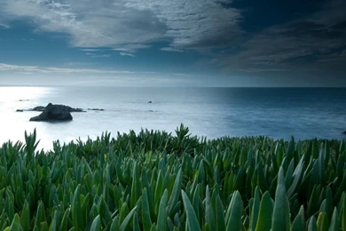 Making The Difference iPad Wallpapers Download