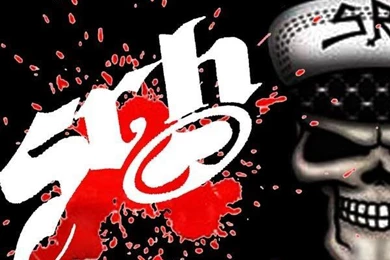 Srh Graphics And Comments