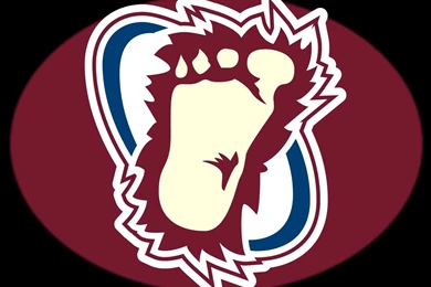 Awesome Colorado Avalanche HD Wallpapers Free Download