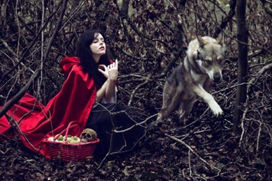 LITTLE RED RIDING HOOD WALLPAPER   (