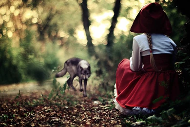 Red riding hood photo wallpaper 1920x1200 (1)   Magic4Walls.com