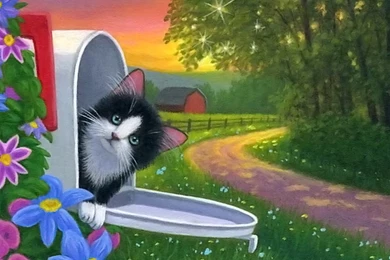 Amazing Wallpapers, Cool Images, Download, Background, Wall ...