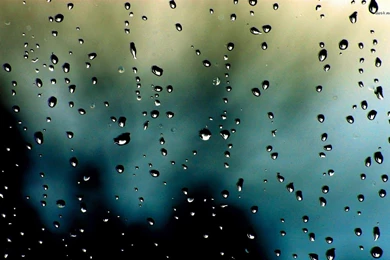 Rain Drops Wallpapers Widescreen HD 7953   HD Wallpapers Site