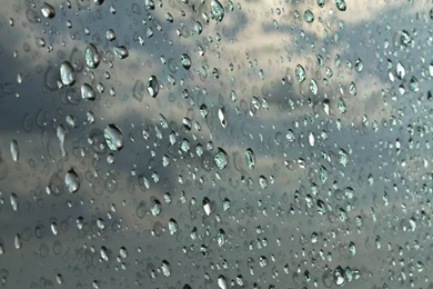 Raindrops   Wallpaper.