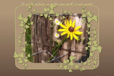 Trololo Blogg: Inspirational Wallpapers