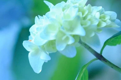 Galaxy S4 Wallpapers HD, Samsung Galaxy S4 Wallpapers, Galaxy ...