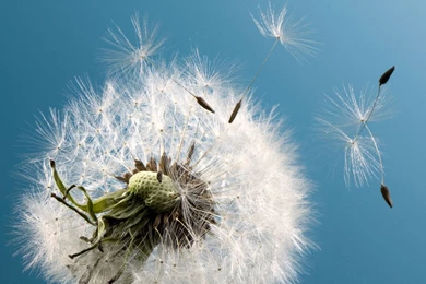 1080x1920   Samsung Wallpapers