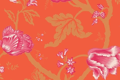 Allen + Roth Orange Strippable Pre pasted Wallpapers   Contemporary ...