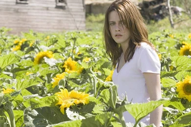 Kristen Wallpapers   Kristen Stewart Wallpapers (3463066)   Fanpop