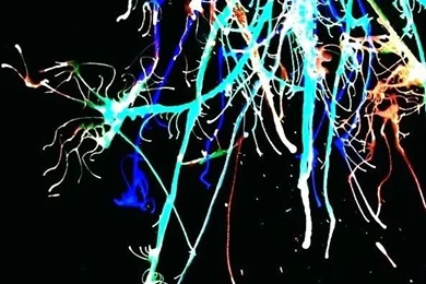 Top Splatter Paint Nike Graphics Wallpapers