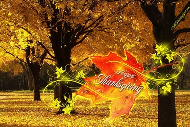 Free Download Thanksgiving Desktop Wallpapers 2016