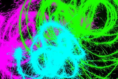 Neon Splatter Wallpapers By LolaRose1892 On DeviantArt