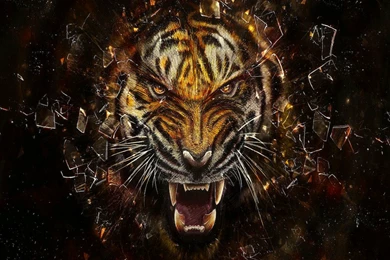 Cool Wallpapers 3D Beautiful 97112s   Wallpapers HD Fix