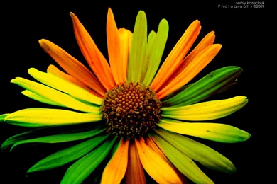 Best Desktop Wallpapers